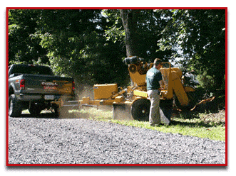 Stump Grinding in Lansdale PA